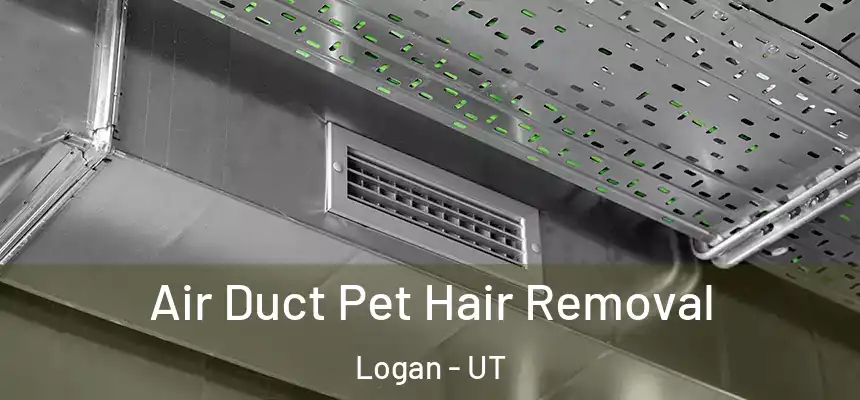  Air Duct Pet Hair Removal Logan - UT
