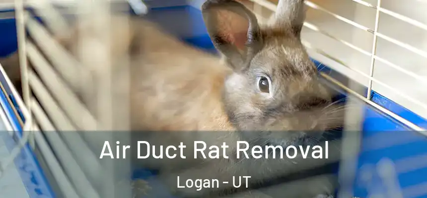  Air Duct Rat Removal Logan - UT