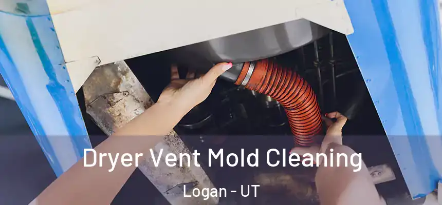  Dryer Vent Mold Cleaning Logan - UT