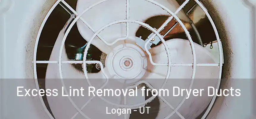  Excess Lint Removal from Dryer Ducts Logan - UT