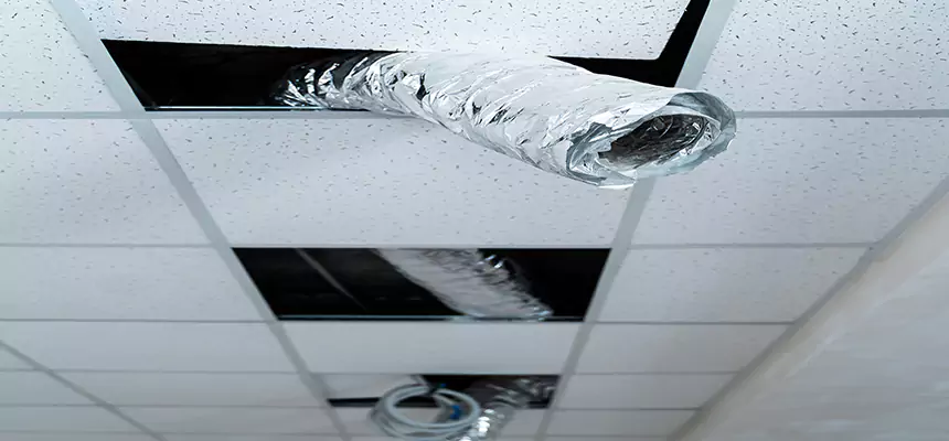 Our Air Duct Pet Hair Removal Services in Logan, UT