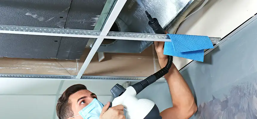 Our Air Duct Rodent Removal Services in Logan, UT