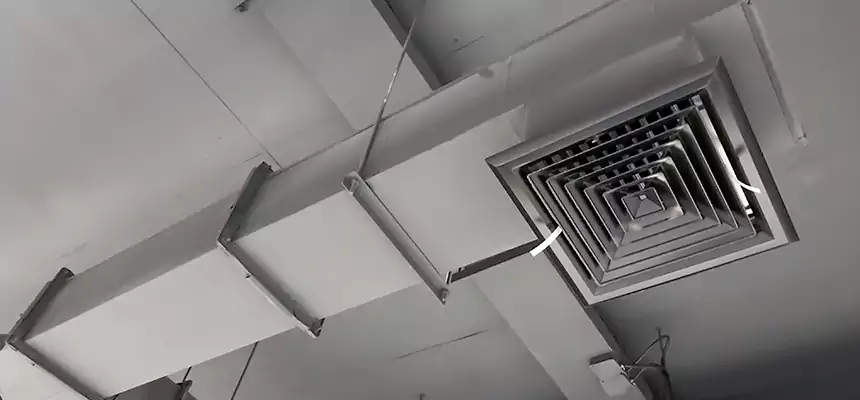 Our Rodent Droppings In Vents Services in Logan, UT