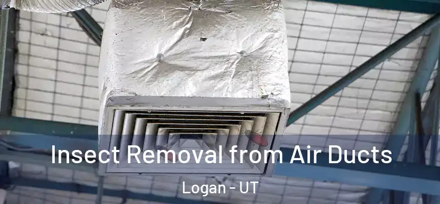  Insect Removal from Air Ducts Logan - UT