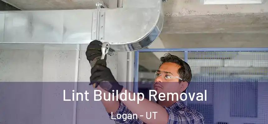  Lint Buildup Removal Logan - UT