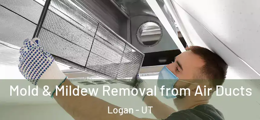  Mold & Mildew Removal from Air Ducts Logan - UT