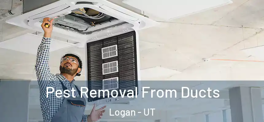  Pest Removal From Ducts Logan - UT
