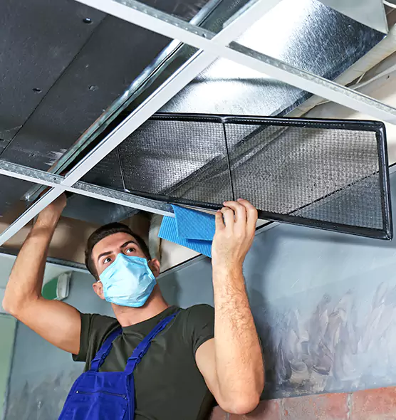 About Air Duct Bacteria Removal in Logan