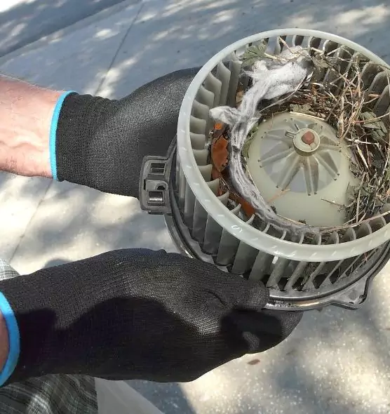 About Air Duct Rat Removal in Logan, UT