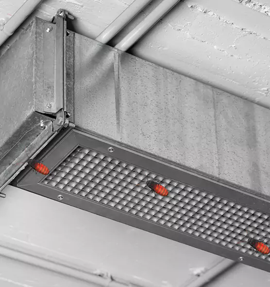 Affordable Insect Removal from Air Ducts in Logan, UT