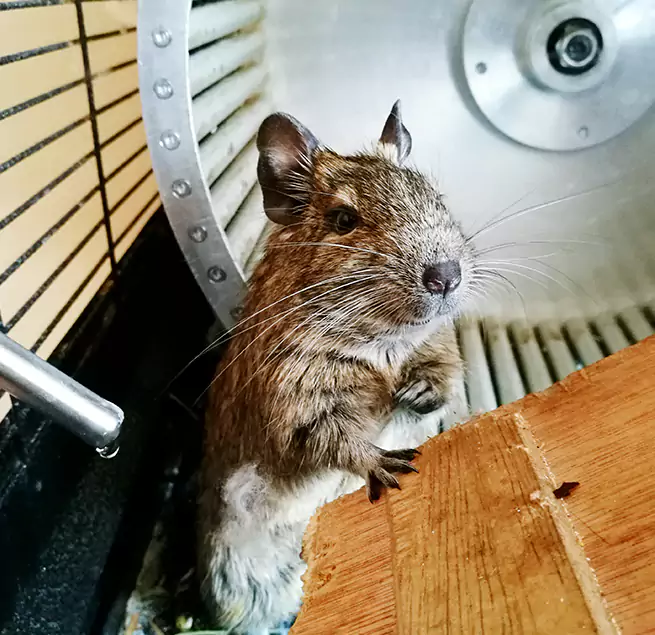 Why Homeowners & Businesses Trust Us Logan, UT